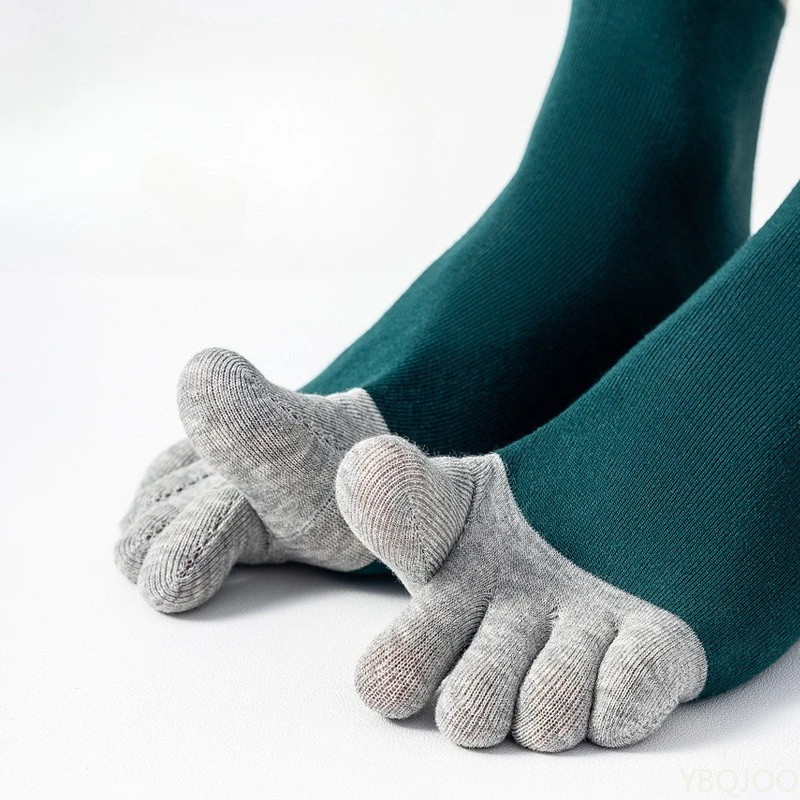 5 Pares de Calcetines de Cinco - Pipe Bending Spring reseña y precio