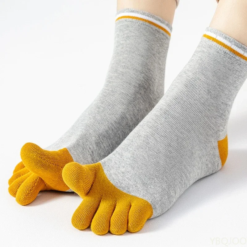 5 Pares de Calcetines de Cinco - Pipe Bending Spring reseña y precio